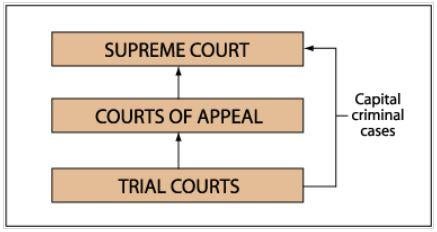 Court Structure